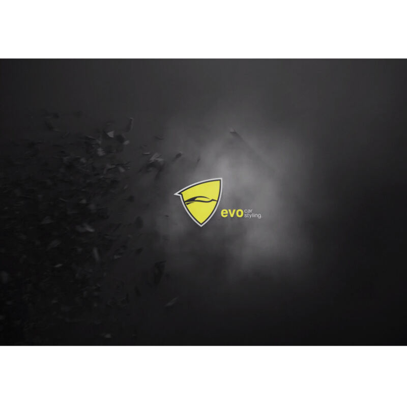 Evo Film. Pitch för ny grafisk identitet.