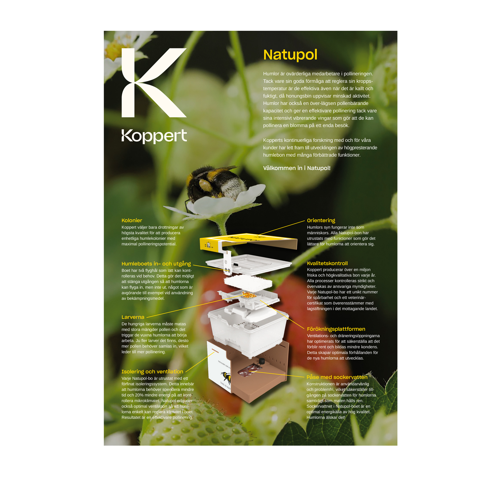 Koppert produktblad