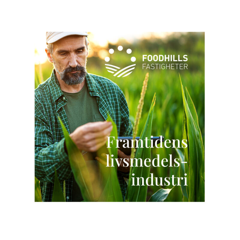 FoodHills SoMe