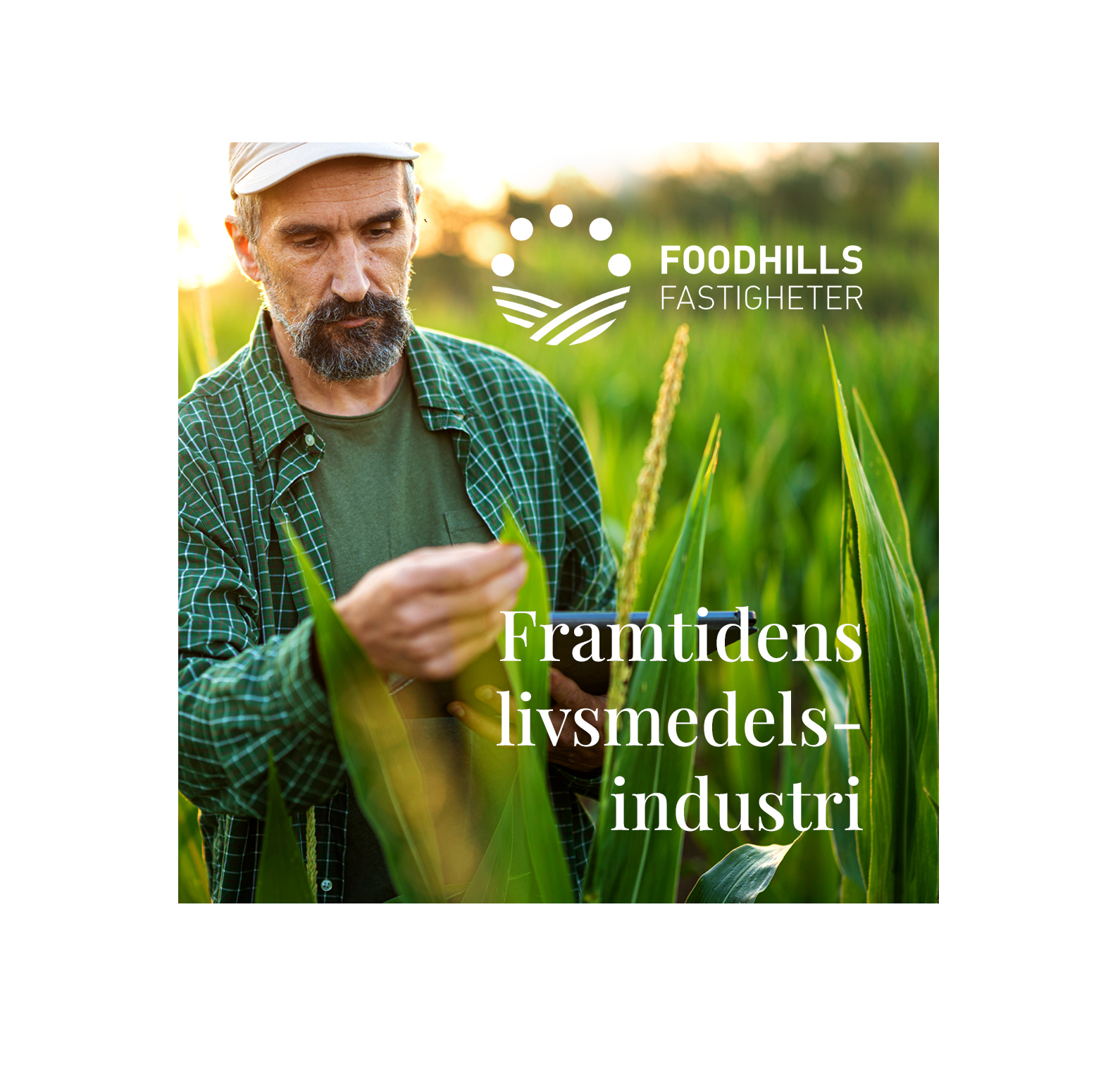 FoodHills SoMe